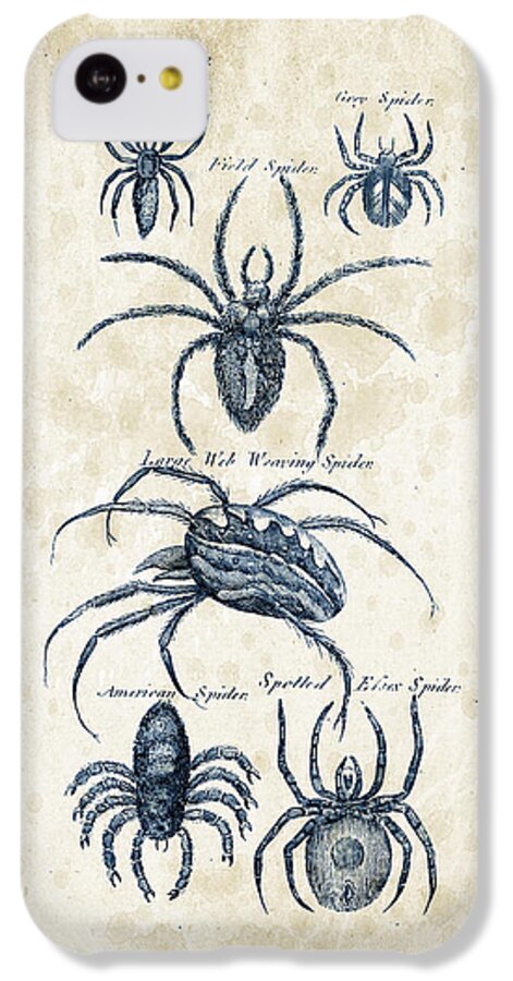 Spider iPhone 5c Case featuring the digital art Insects - 1792 - 18 by Aged Pixel