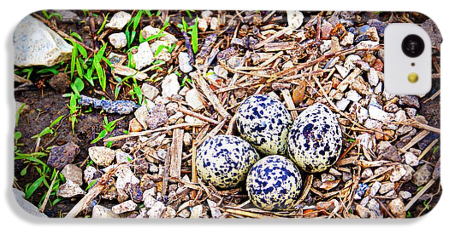 Eggs iPhone 5c Case featuring the photograph Killdeer Nest by Cricket Hackmann