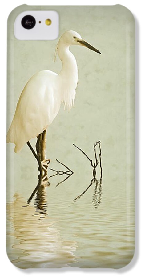 Egret iPhone 5c Case featuring the photograph Little Egret by Sharon Lisa Clarke