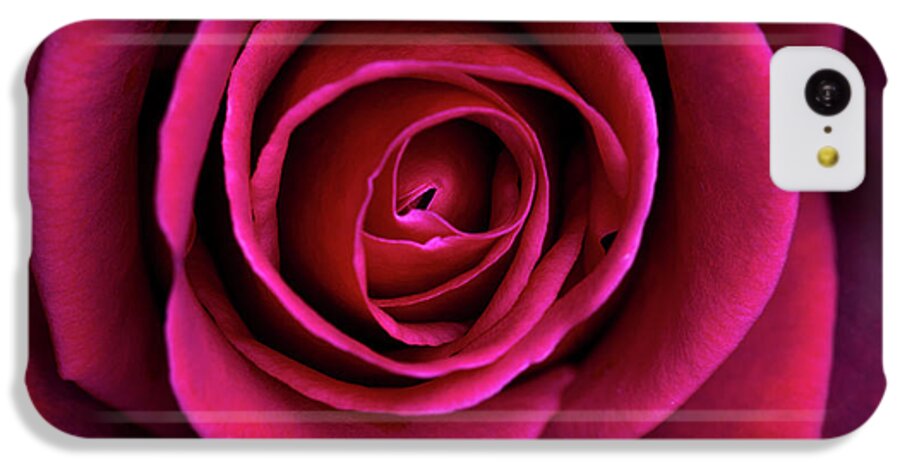 Rose iPhone 5c Case featuring the photograph Love is a Rose by Linda Lees