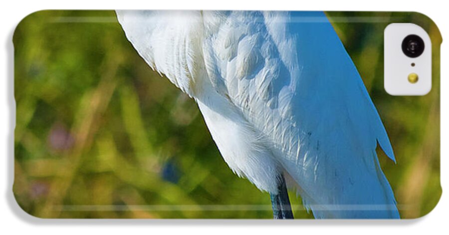 Great White Egret iPhone 5c Case featuring the photograph My Better Side by Betsy Knapp