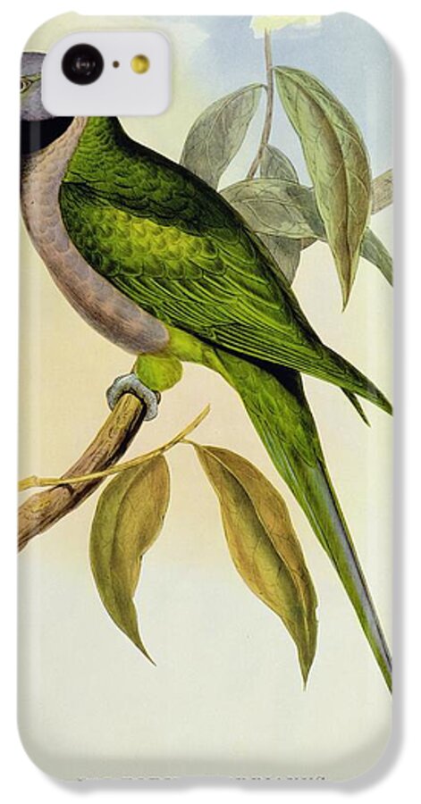 Parakeet iPhone 5c Case featuring the photograph Parakeet by John Gould