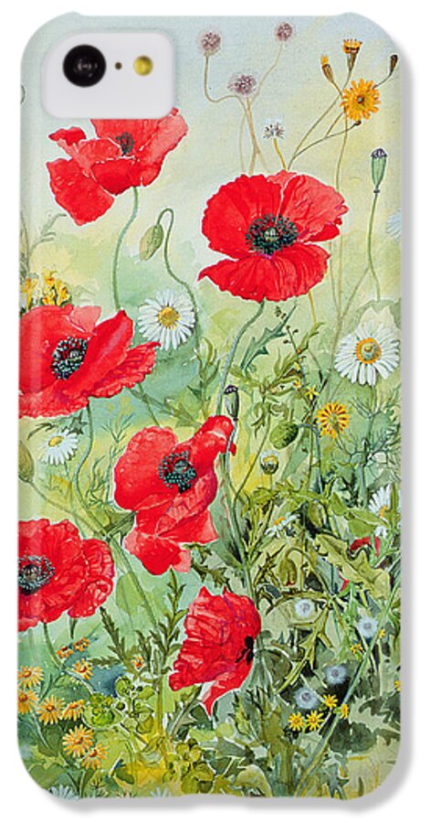 #faatoppicks iPhone 5c Case featuring the painting Poppies and Mayweed by John Gubbins