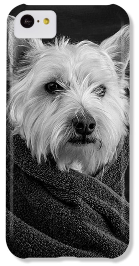 #faatoppicks iPhone 5c Case featuring the photograph Portrait of a Westie Dog by Edward Fielding