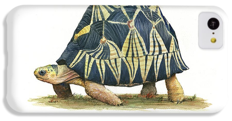 Radiated Tortoise iPhone 5c Case featuring the painting Radiated Tortoise by Juan Bosco