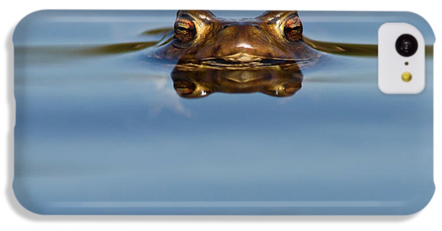 Adult iPhone 5c Case featuring the photograph Reflections - Toad in a Lake by Roeselien Raimond
