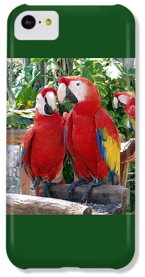 Scarlet Macaws iPhone 5c Case featuring the photograph Scarlet Macaws by Ellen Henneke