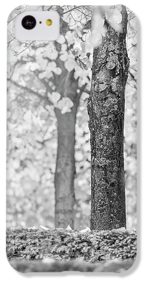 Tree iPhone 5c Case featuring the photograph Separate by Hitendra SINKAR