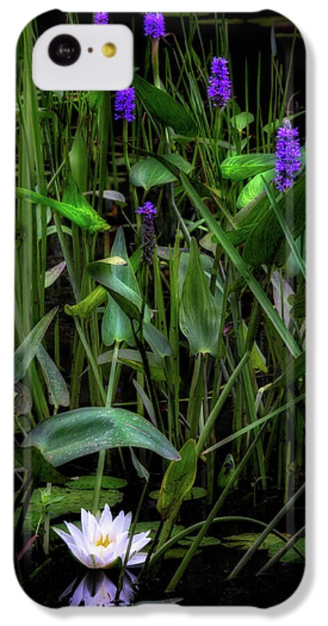 Water Lily iPhone 5c Case featuring the photograph Summer Swamp 2017 by Bill Wakeley