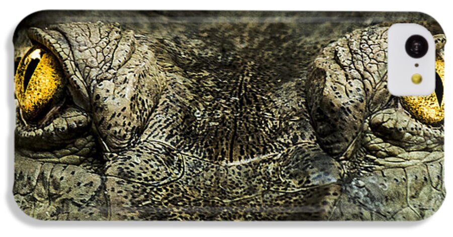 Crocodile iPhone 5c Case featuring the photograph The soul searcher by Paul Neville