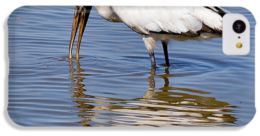 Bird iPhone 5c Case featuring the photograph Wood Stork by Louise Heusinkveld
