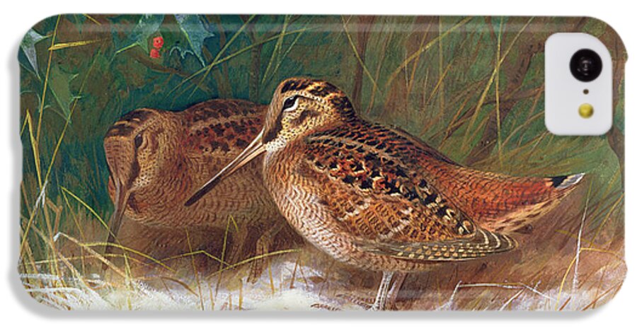 Bird iPhone 5c Case featuring the painting Woodcock in the Undergrowth by Archibald Thorburn