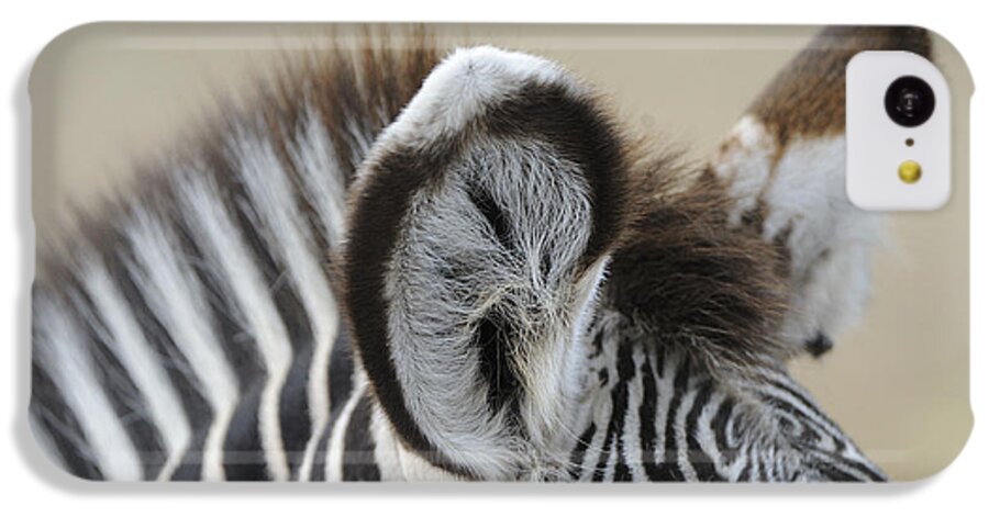 Grant's Zebra iPhone 5c Case featuring the photograph Zebra Ears by David & Micha Sheldon