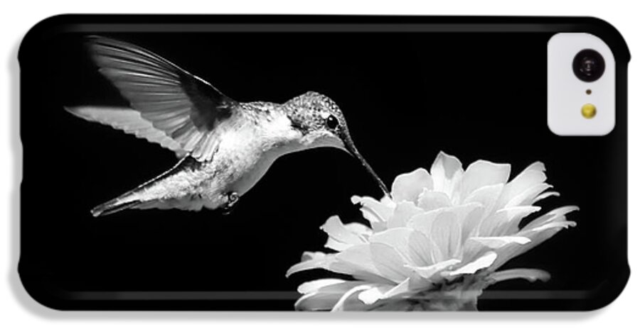 Hummingbird iPhone 5c Case featuring the photograph Black and White Hummingbird and Flower by Christina Rollo