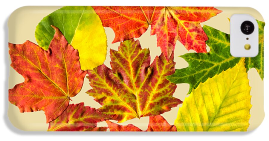 Fall Leaves iPhone 5c Case featuring the mixed media Fall Leaves Pattern by Christina Rollo