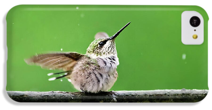 Hummingbird iPhone 5c Case featuring the photograph Hummingbird In The Rain by Christina Rollo