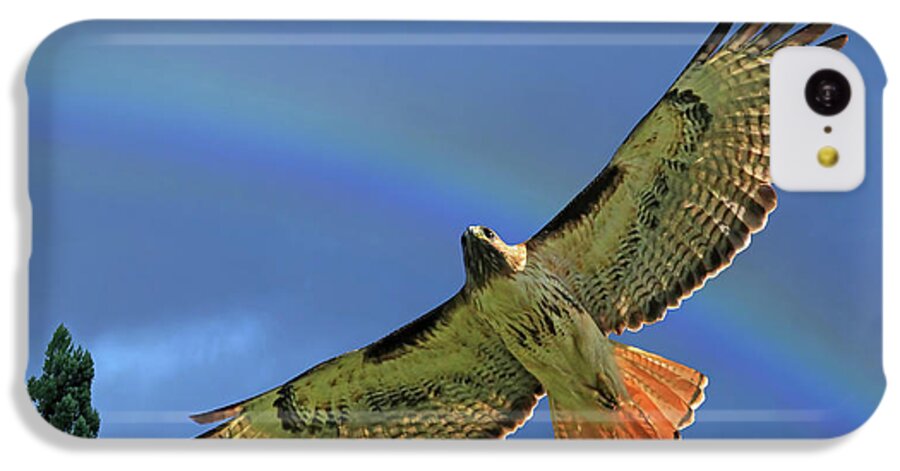 Red Tail Hawk iPhone 5c Case featuring the photograph Wings 2 by Donna Kennedy