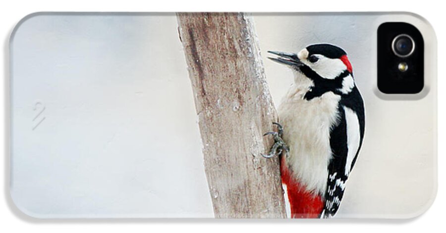 Animal iPhone 5s Case featuring the photograph Woodpecker #3 by Heike Hultsch