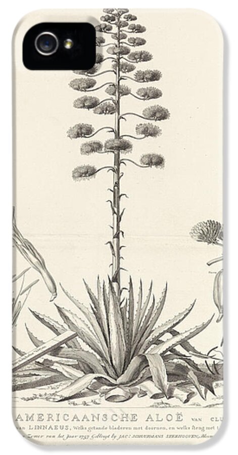 Botanical Drawing Of Blooming Agave Plant Iphone 5s Case For Sale By Agavoideae And Abraham Delfos And Jacobus Luberti Augustini And David Van Royen And,White Asparagus Soup