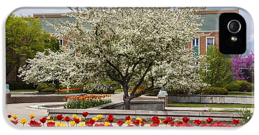 Michigan State iPhone 5s Case featuring the photograph Flowers and Tree at Michigan State University by John McGraw