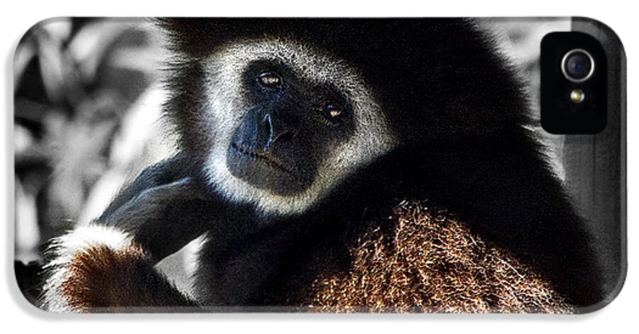 #tarongah Western Plains Zoo iPhone 5s Case featuring the photograph I Think I Could Like You by Miroslava Jurcik