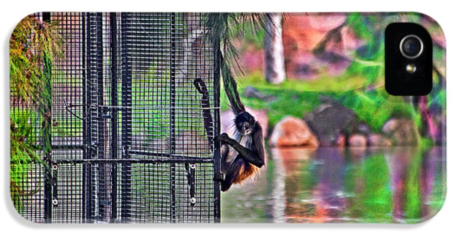 Black Handed Spider Monkey iPhone 5s Case featuring the photograph No prison for me by Miroslava Jurcik