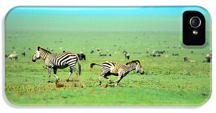 Africa iPhone 5s Case featuring the photograph Playfull Zebras by Sebastian Musial