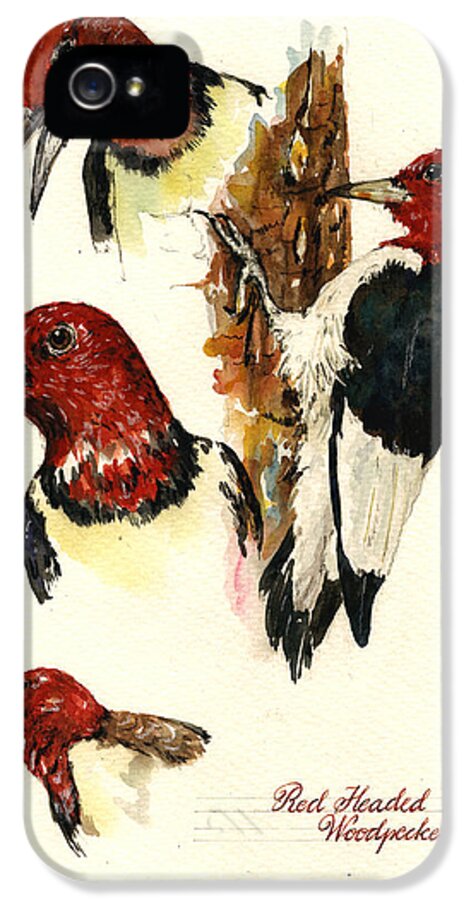 Red Headed Woodpecker iPhone 5s Case featuring the painting Red headed woodpecker bird by Juan Bosco