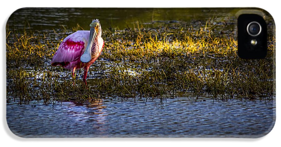 Cove iPhone 5s Case featuring the photograph Spotlight by Marvin Spates