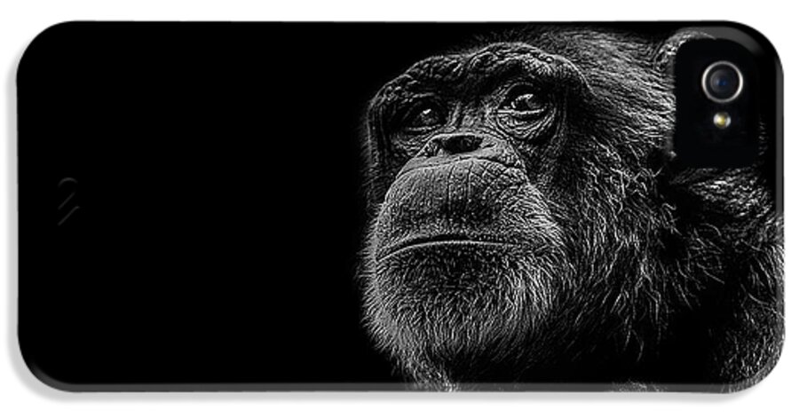 Chimpanzee Ape Portrait Low Key Wildlife Nature iPhone 5s Case featuring the photograph Trepidation by Paul Neville