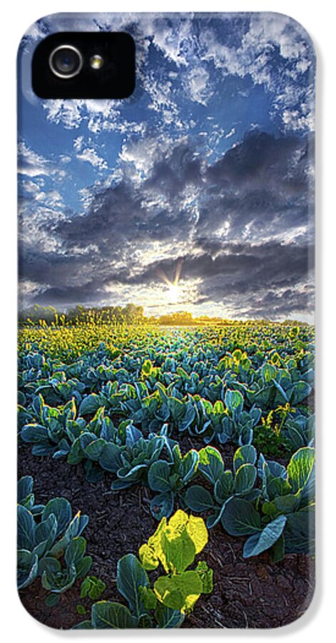 Summer iPhone 5s Case featuring the photograph Ankle High in July by Phil Koch