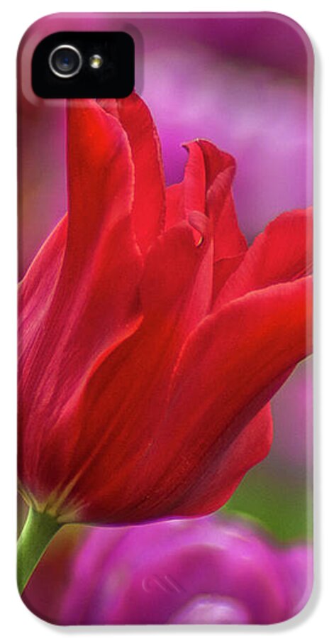 Purple iPhone 5s Case featuring the photograph Brazenly Delicate by Bill Pevlor