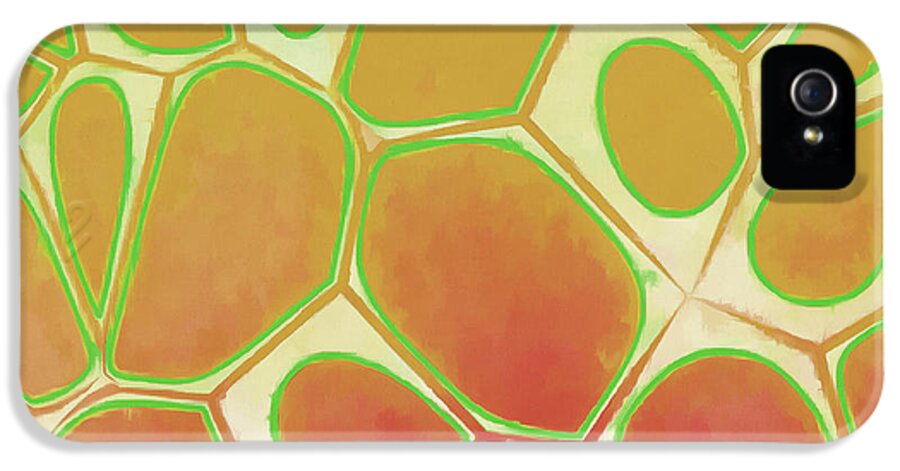 Painting iPhone 5s Case featuring the painting Cells Abstract Five by Edward Fielding
