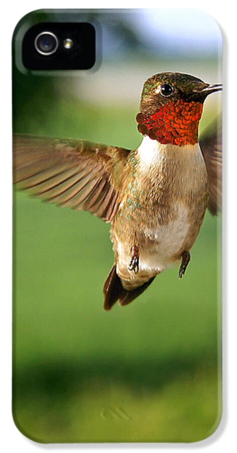 Vertical iPhone 5s Case featuring the photograph Grand Display by Bill Pevlor