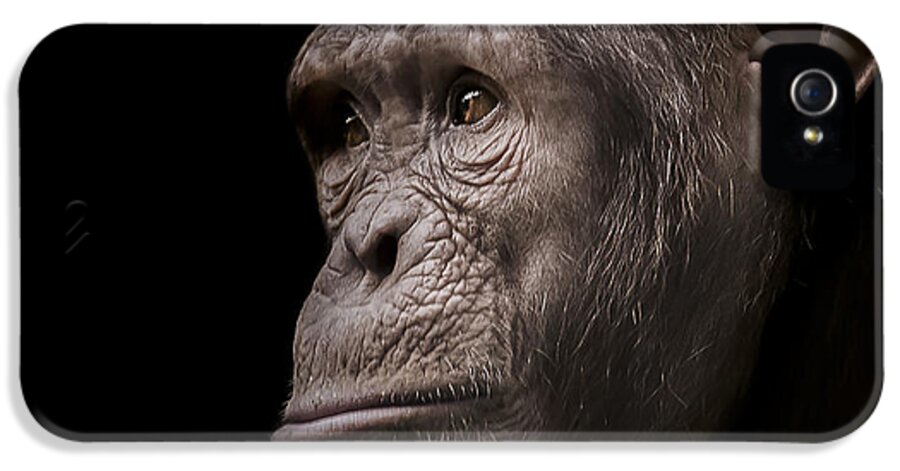 Chimpanzee iPhone 5s Case featuring the photograph Indignant by Paul Neville
