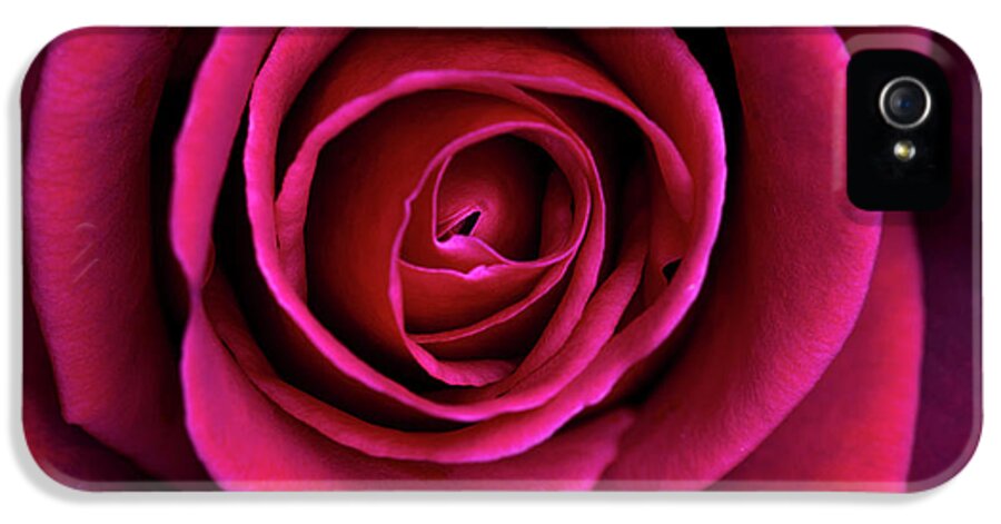 Rose iPhone 5s Case featuring the photograph Love is a Rose by Linda Lees