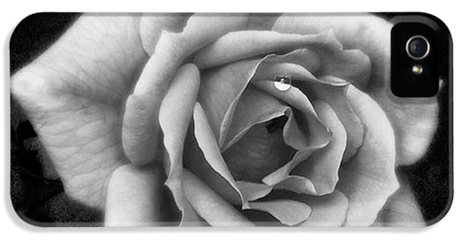 Beautiful iPhone 5s Case featuring the photograph Rose In Mono. #flower #flowers by John Edwards
