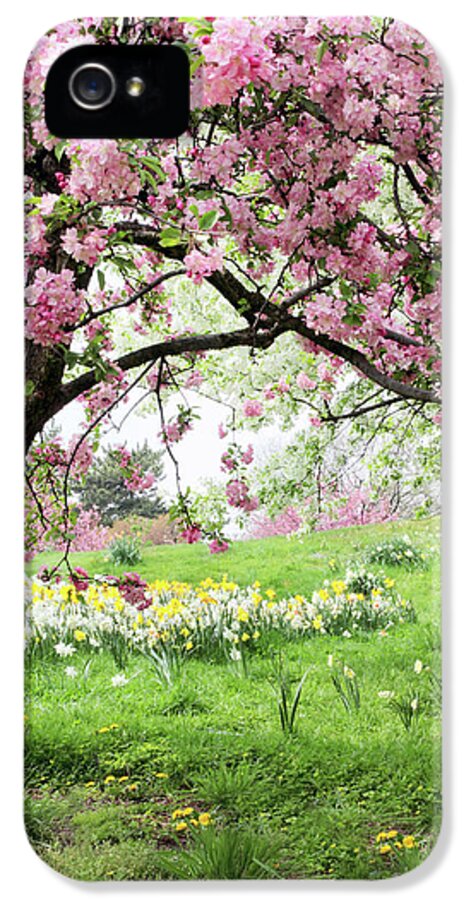 Spring iPhone 5s Case featuring the photograph Spring Fever by Jessica Jenney