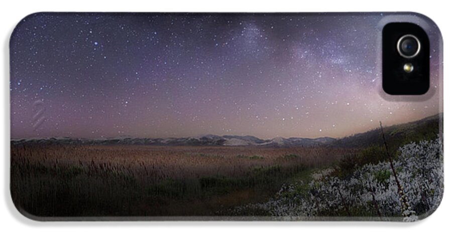Square iPhone 5s Case featuring the photograph Star Flowers Square by Bill Wakeley