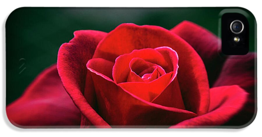 Rose iPhone 5s Case featuring the photograph Whispers of Passion by Linda Lees