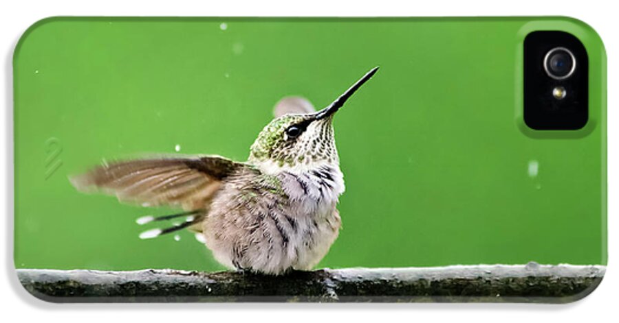 Hummingbird iPhone 5s Case featuring the photograph Hummingbird In The Rain by Christina Rollo