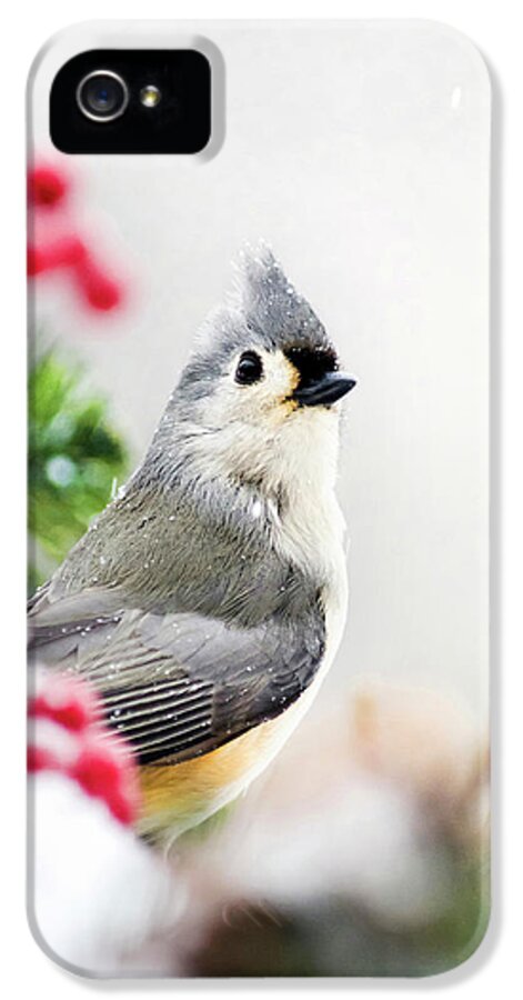 Birds iPhone 5s Case featuring the photograph Titmouse Bird Portrait by Christina Rollo