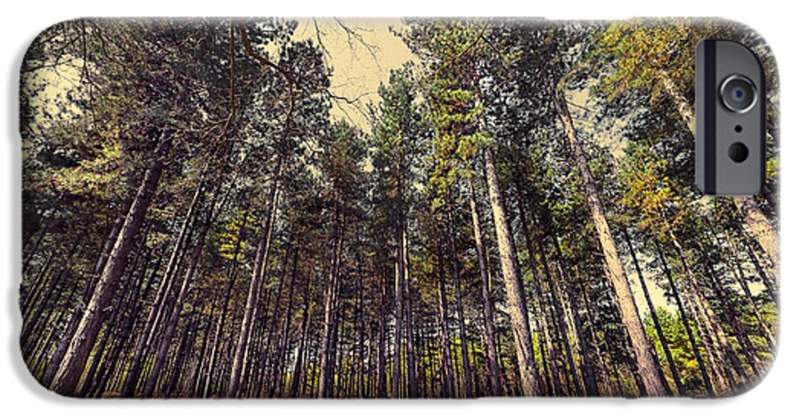 Beautiful iPhone 6 Case featuring the photograph Tall Trees #1 by Svetlana Sewell
