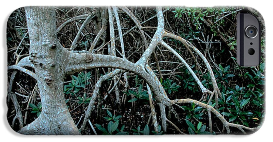 Nature iPhone 6 Case featuring the photograph Red Mangroves #2 by Mark Newman