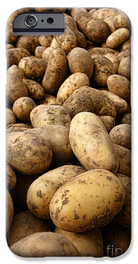 Potatoes iPhone 6 Case featuring the photograph Potatoes #2 by Olivier Le Queinec