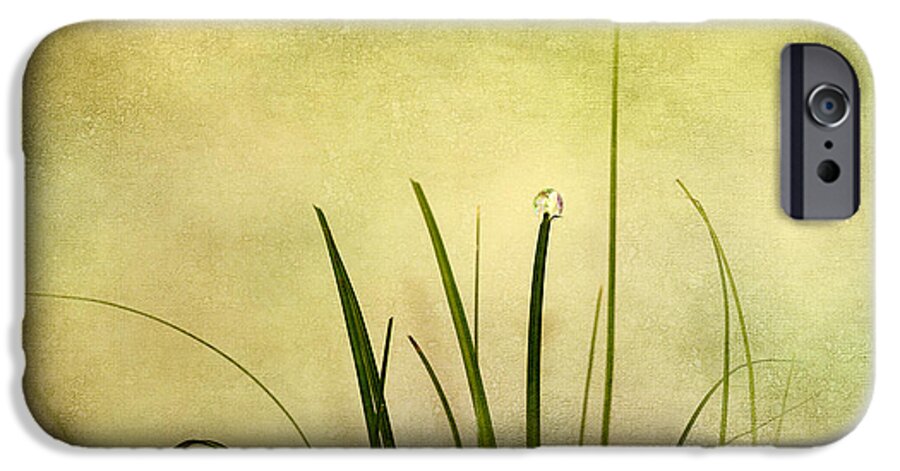 Abstract iPhone 6 Case featuring the digital art Grass #4 by Svetlana Sewell