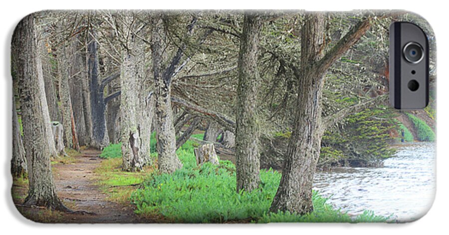 Trees iPhone 6 Case featuring the photograph After High Tide by Kris Hiemstra
