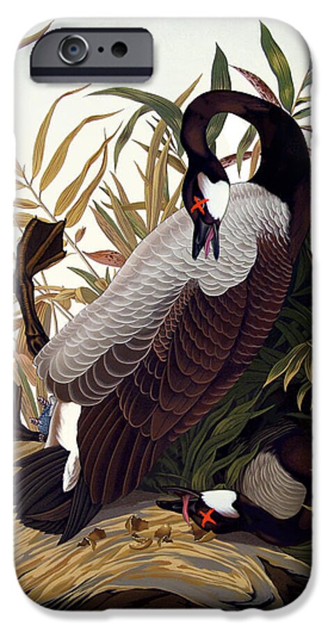 Geese iPhone 6 Case featuring the painting America 2013 by Philip Slagter