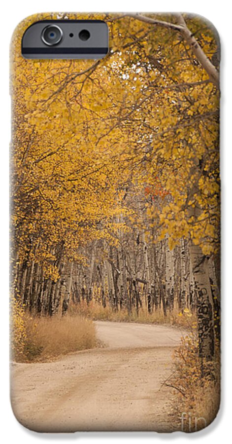 America iPhone 6 Case featuring the photograph Aspen Trees in Autumn by Juli Scalzi