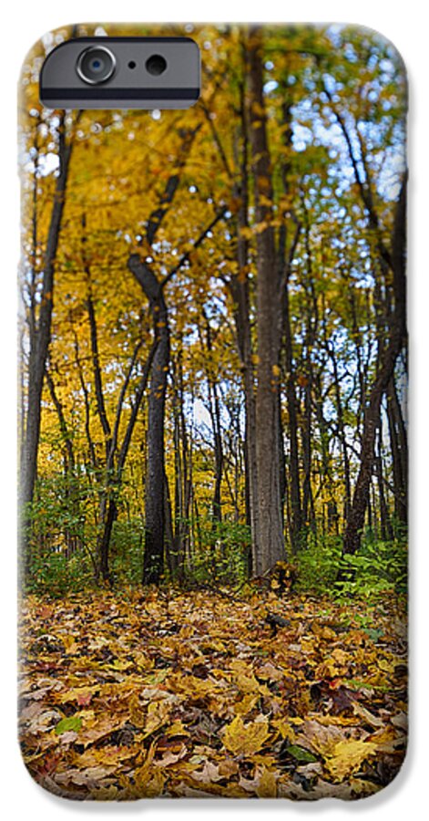 Fall iPhone 6 Case featuring the photograph Autumn is Here by Sebastian Musial